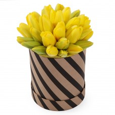 Коробка из 25 желтых тюльпанов